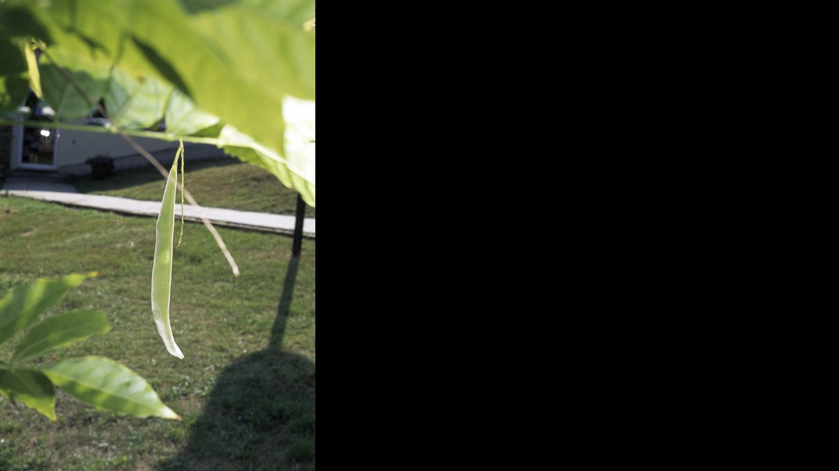 Florian Glaubitz: Jahresgabe 1