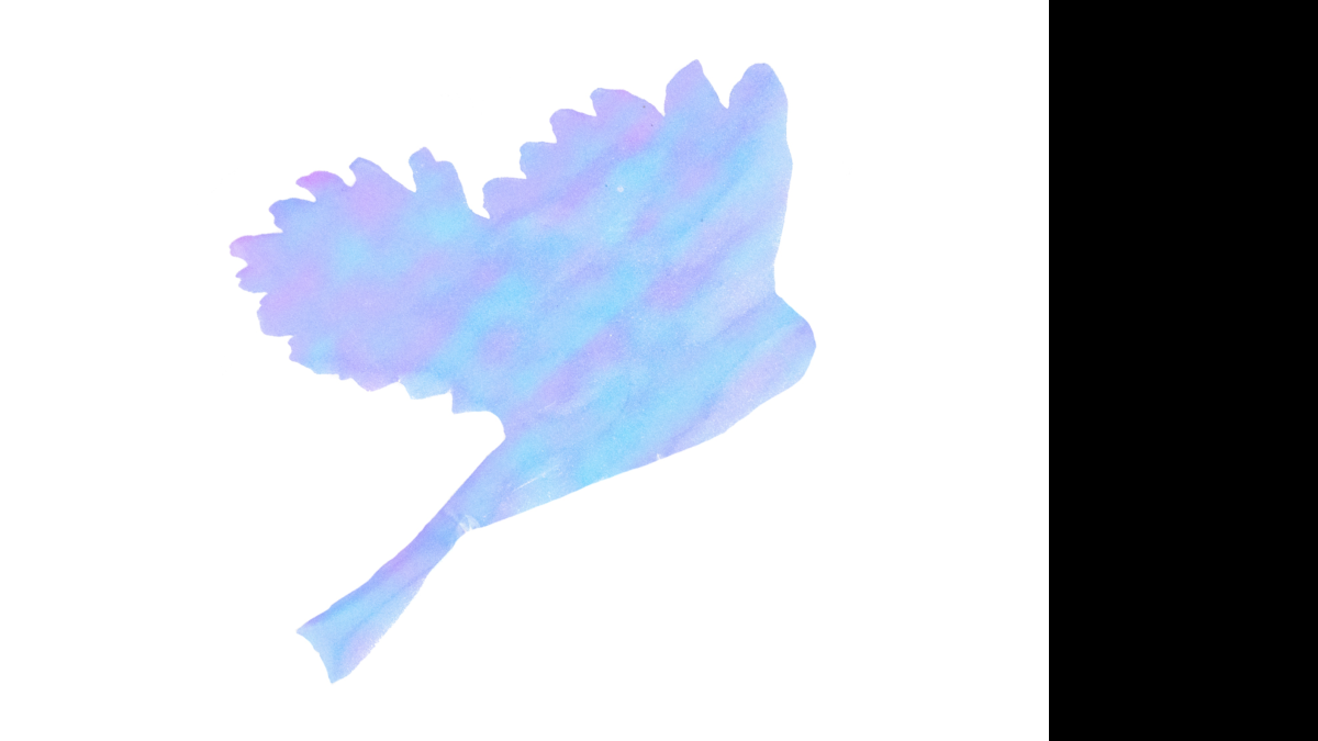 Gefallene Vögel. Prozessbild.